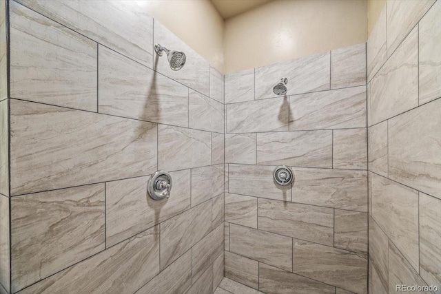 45425 Wolf Creek Dr, Bennett, CO 80102 - bathroom featuring a tile shower