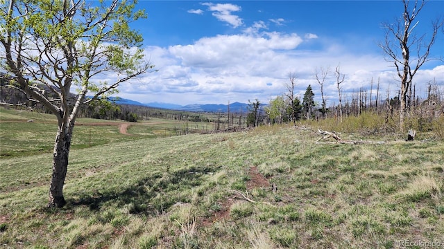 2334 Wohlstetter Loop, Fort Garland CO, 81133 land for sale