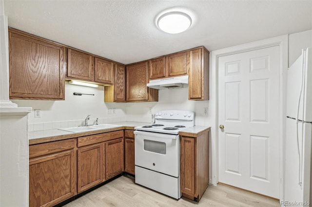 kitchen with white appliances, brown cabinets, under cabinet range hood, and a sink