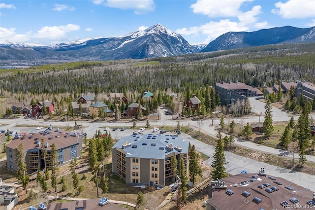 4400 Lodgepole Cir Unit 101, Silverthorne, CO 80498 - view of mountain background