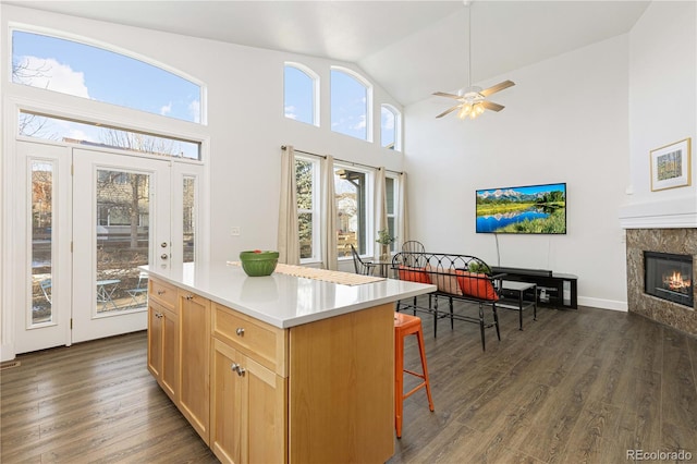 kitchen with a center island, dark hardwood / wood-style floors, a breakfast bar area, and a tiled fireplace