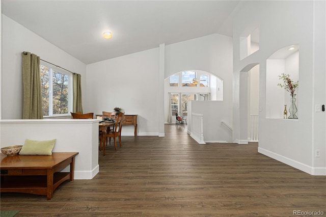 interior space with dark hardwood / wood-style floors and high vaulted ceiling