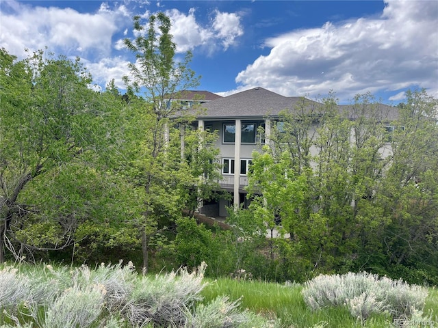 485 Cardiff Cir, Colorado Springs, CO 80906 - back of house with a shingled roof