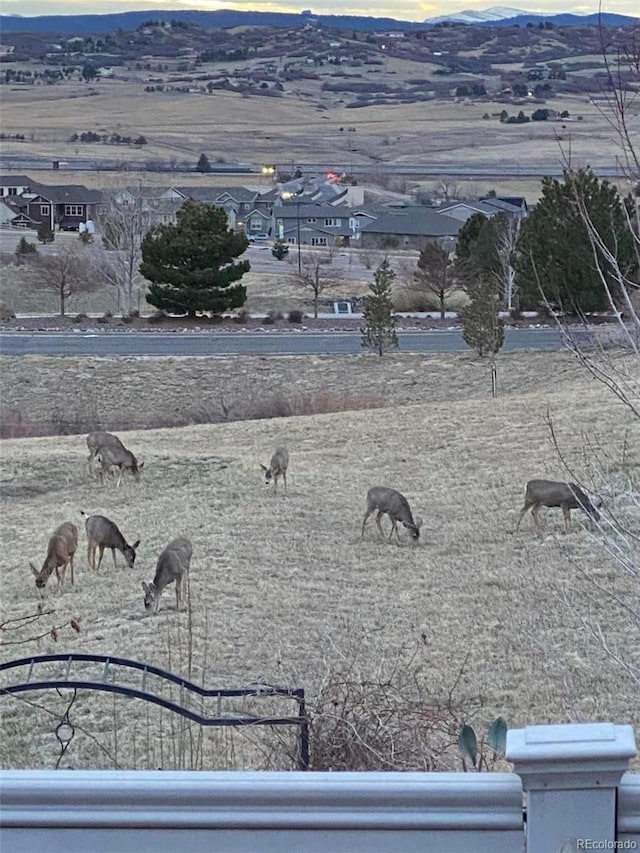 4069 Copper Ct, Castle Rock, CO 80104 - view of yard with a rural view and a mountain view