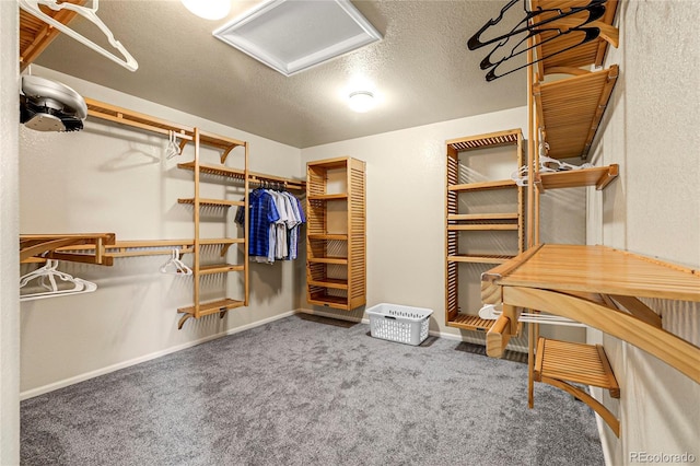 4069 Copper Ct, Castle Rock, CO 80104 - spacious closet with attic access and carpet flooring