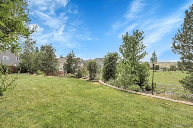 4069 Copper Ct, Castle Rock, CO 80104 - view of yard