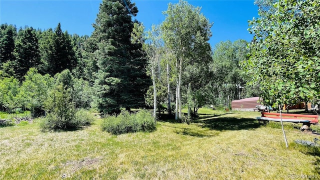 394 Tixier Ramirez Cir, Antonito, CO 81120 - photo 13