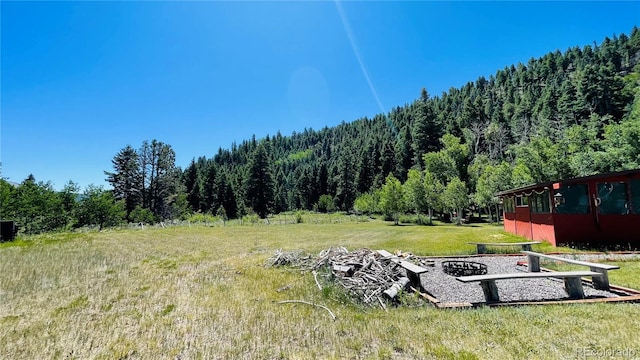 394 Tixier Ramirez Cir, Antonito, CO 81120 - photo 15