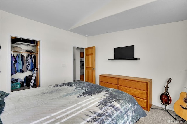 bedroom with a closet and light carpet