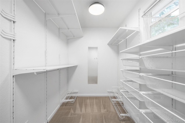 2995 Yates St, Denver, CO 80212 - walk in closet featuring carpet