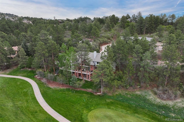 120 Silver Leaf Way, Castle Rock, CO 80108 - drone / aerial view of a forest