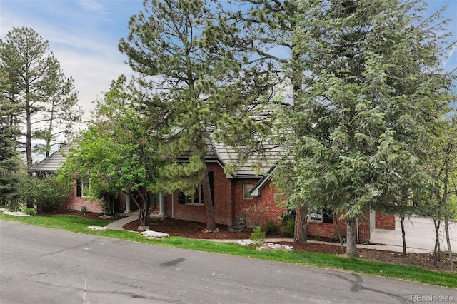 120 Silver Leaf Way, Castle Rock, CO 80108 - view of property hidden behind natural elements with brick siding