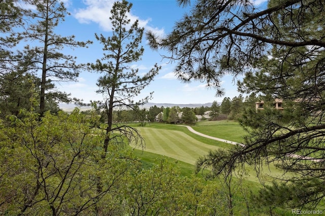 120 Silver Leaf Way, Castle Rock, CO 80108 - surrounding community featuring a yard and golf course view