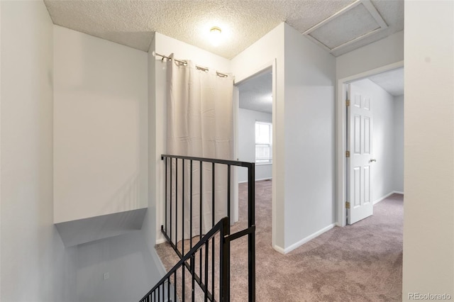 hall with carpet and a textured ceiling