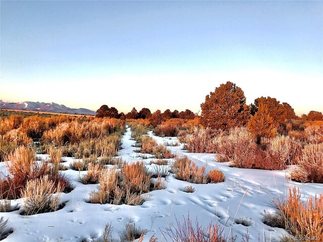 2907 County Road 128, Hesperus, CO 81326 - photo 22