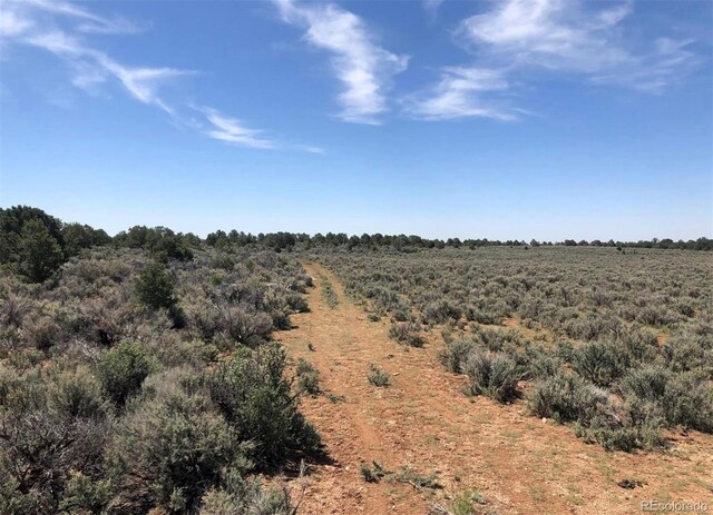 2907 County Road 128, Hesperus, CO 81326 - photo 25