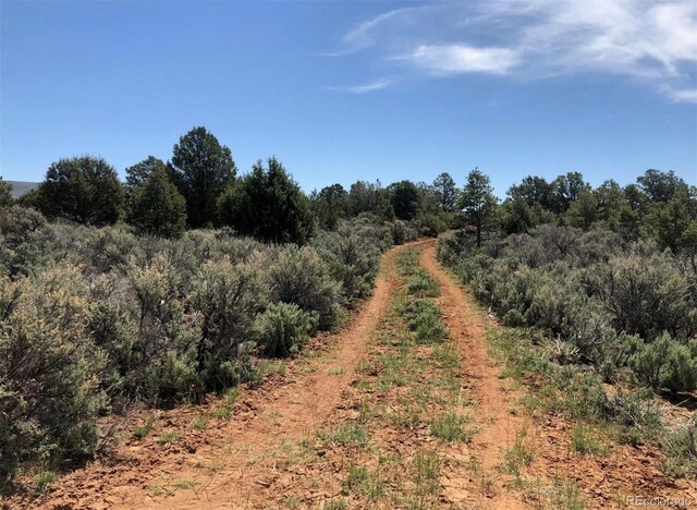 2907 County Road 128, Hesperus, CO 81326 - photo 26
