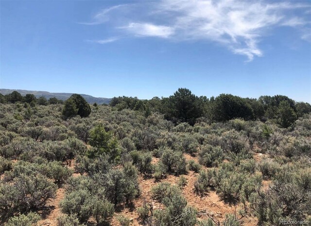 2907 County Road 128, Hesperus, CO 81326 - photo 27