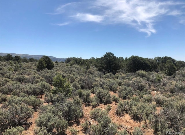 2907 County Road 128, Hesperus, CO 81326 - photo 31