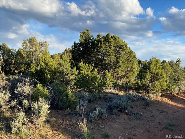 2907 County Road 128, Hesperus, CO 81326 - photo 15