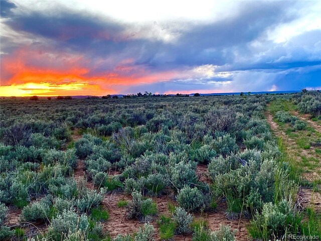2907 County Road 128, Hesperus, CO 81326 - photo 1
