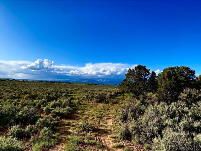 2907 County Road 128, Hesperus, CO 81326 - photo 3