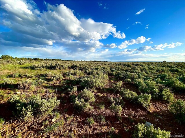 2907 County Road 128, Hesperus, CO 81326 - photo 4