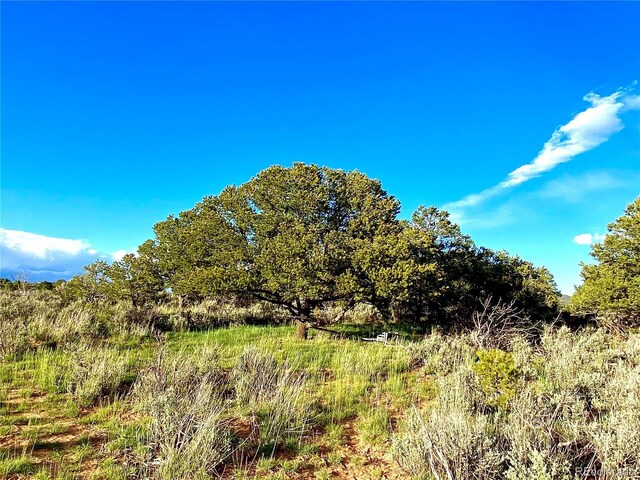 2907 County Road 128, Hesperus, CO 81326 - photo 5