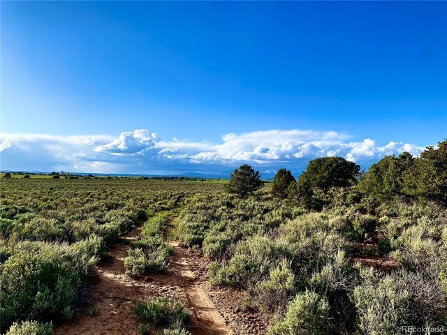 2907 County Road 128, Hesperus, CO 81326 - photo 6