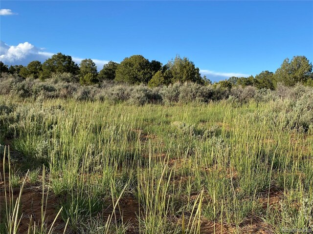 2907 County Road 128, Hesperus, CO 81326 - photo 8