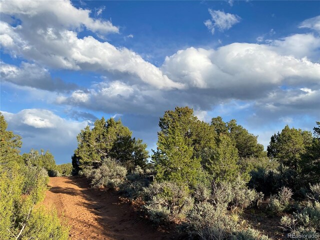 2907 County Road 128, Hesperus, CO 81326 - photo 11