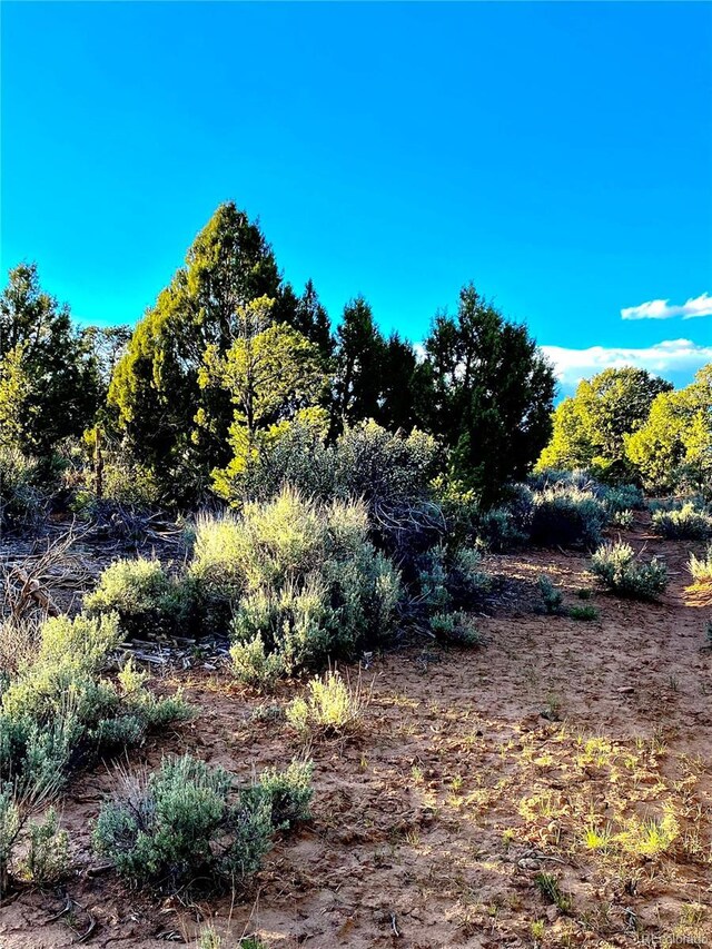 2907 County Road 128, Hesperus, CO 81326 - photo 14