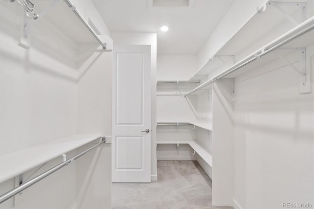 spacious closet with light carpet