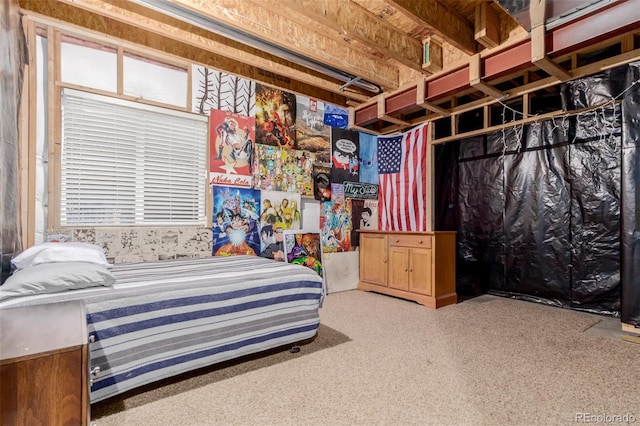 12955 Vallejo Cir, Westminster, CO 80234 - view of carpeted bedroom