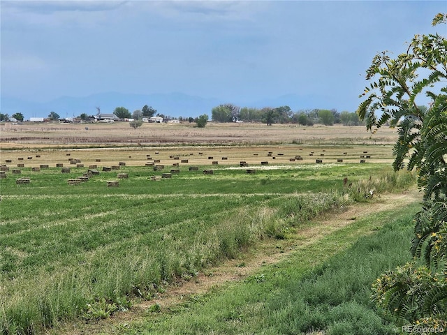 view of yard featuring a rural view