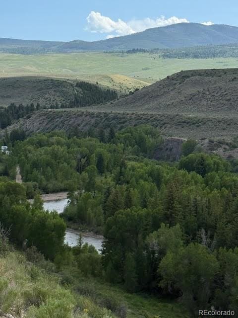 216 County Road 1003, Silverthorne, CO 80498 - photo 8