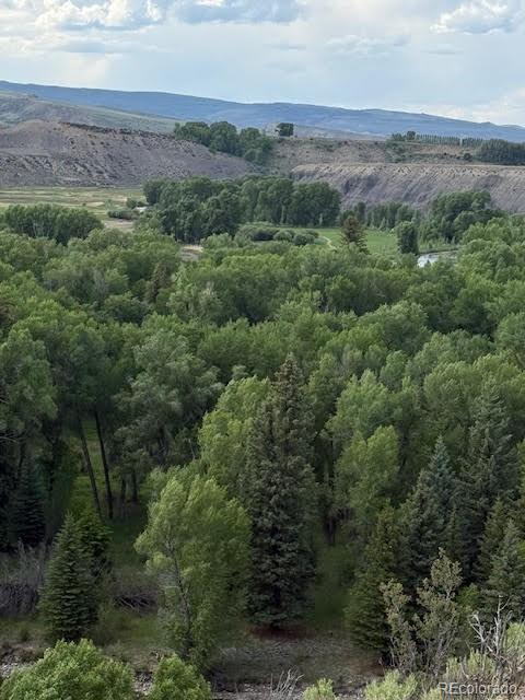 216 County Road 1003, Silverthorne, CO 80498 - photo 10