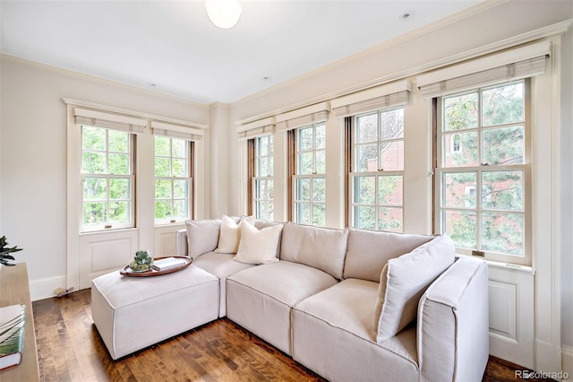 living room featuring ornamental molding and dark hardwood / wood-style floors