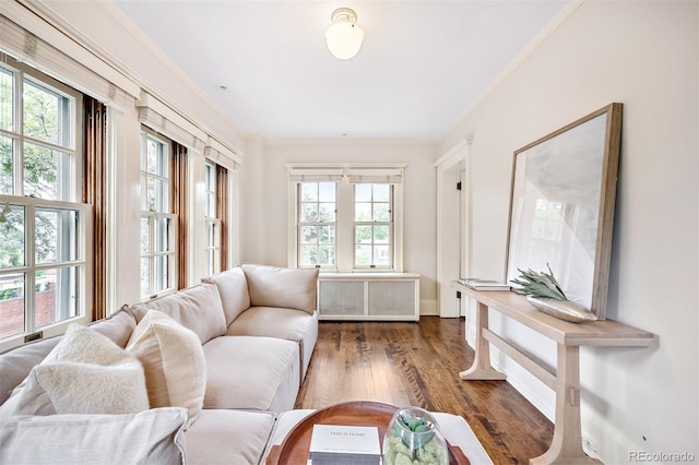 living room with dark hardwood / wood-style flooring, radiator, and crown molding