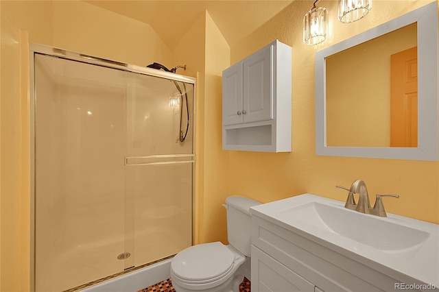 full bathroom featuring a shower stall, toilet, and vanity