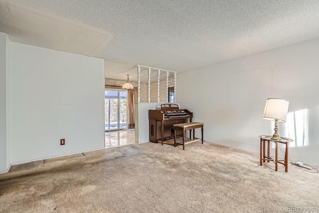 miscellaneous room with carpet floors and a textured ceiling