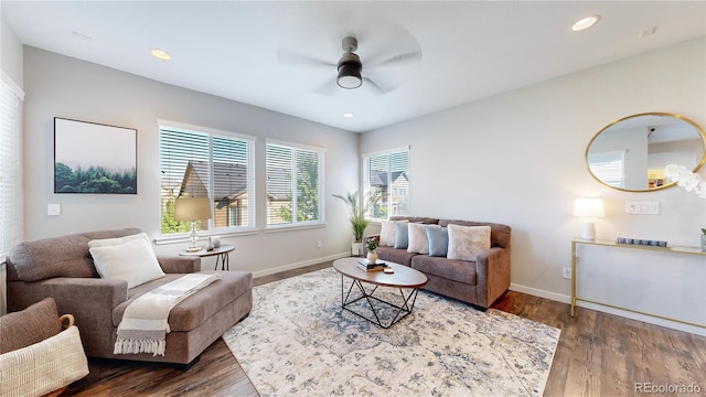 living room with ceiling fan and wood-type flooring