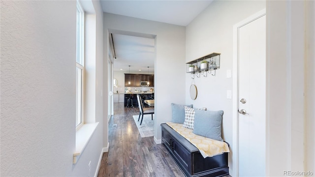 hallway with dark hardwood / wood-style flooring