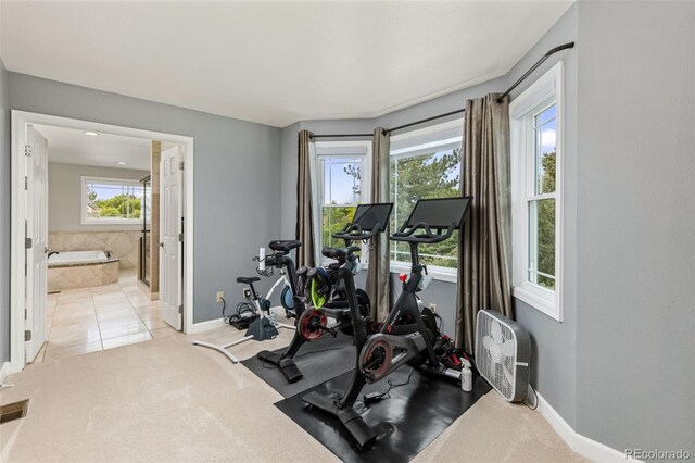 2555 S Zang St, Denver, CO 80228 - photo 19