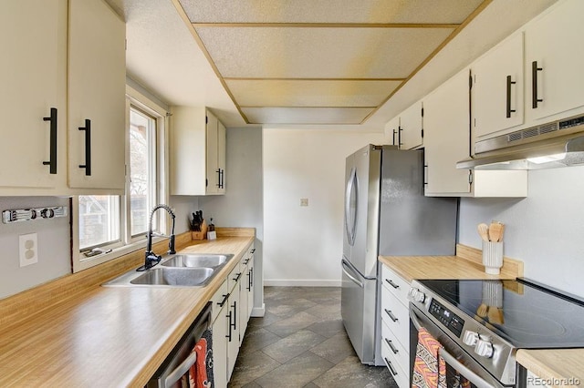 811 W Main St, Buena Vista, CO 81211 - kitchen featuring a sink, under cabinet range hood, light countertops, baseboards, and appliances with stainless steel finishes