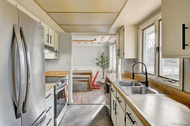 811 W Main St, Buena Vista, CO 81211 - kitchen with a sink, stainless steel appliances, light countertops, and under cabinet range hood