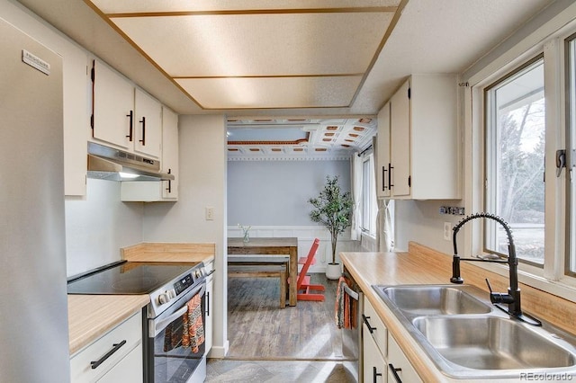 811 W Main St, Buena Vista, CO 81211 - kitchen featuring a sink, under cabinet range hood, white cabinetry, light countertops, and appliances with stainless steel finishes
