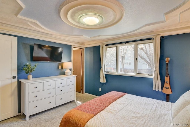 811 W Main St, Buena Vista, CO 81211 - bedroom featuring ornamental molding, a raised ceiling, and light carpet
