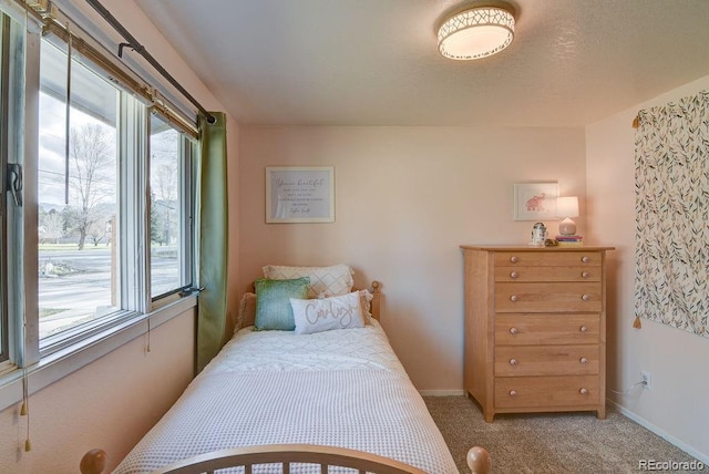 811 W Main St, Buena Vista, CO 81211 - bedroom featuring light carpet and baseboards