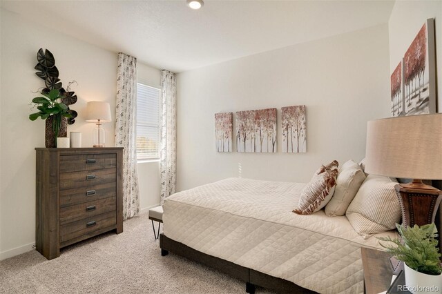1732 Floating Leaf Dr, Fort Collins, CO 80528 - photo 9